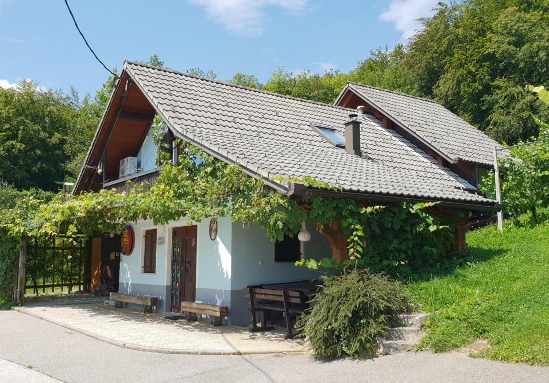 Zidanica Meglic - Vineyard Cottage Meglic Trebnje Exterior foto